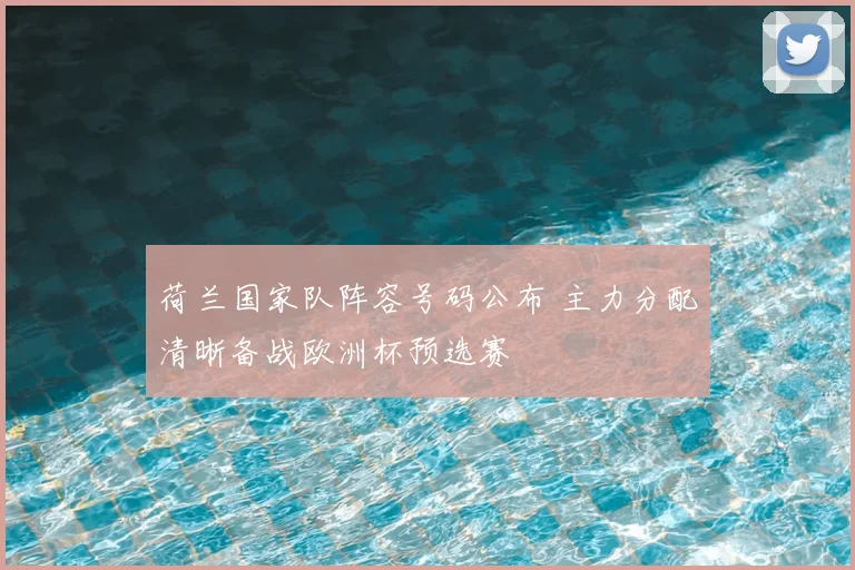 荷兰国家队阵容号码公布 主力分配清晰备战欧洲杯预选赛