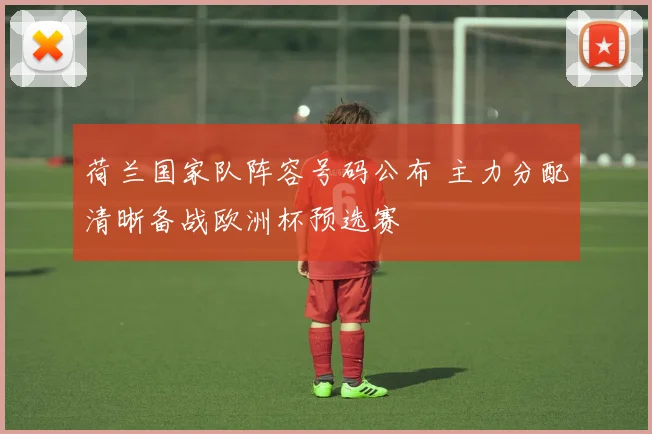 荷兰国家队阵容号码公布 主力分配清晰备战欧洲杯预选赛
