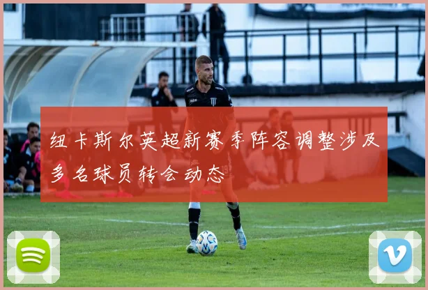 纽卡斯尔英超新赛季阵容调整涉及多名球员转会动态