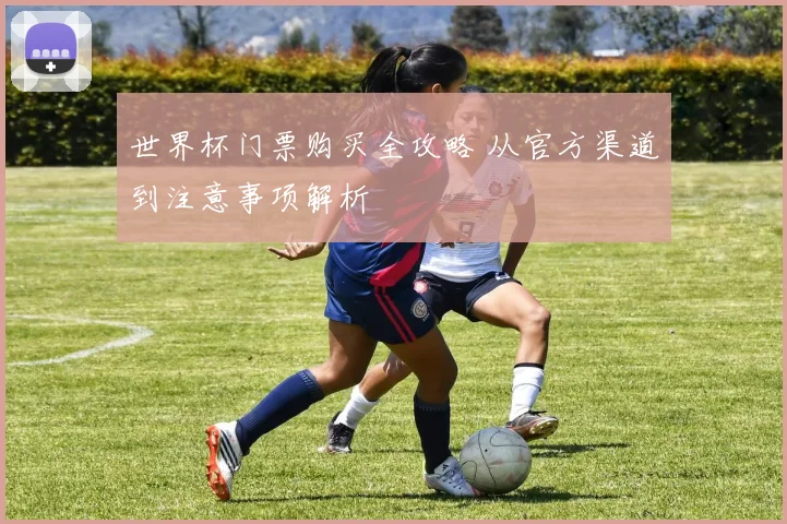 世界杯门票购买全攻略 从官方渠道到注意事项解析