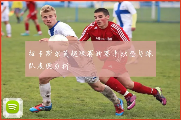 纽卡斯尔英超联赛新赛季动态与球队表现分析